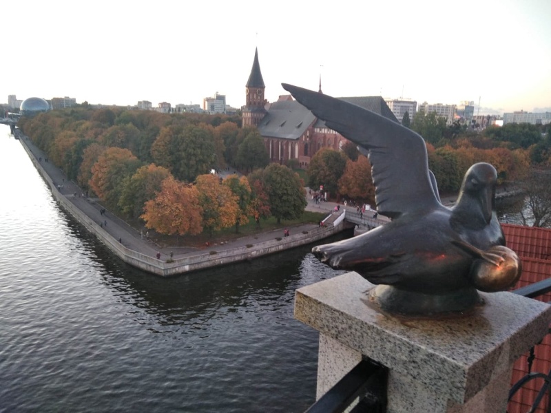 Калиниград - #ТурыТуриста
